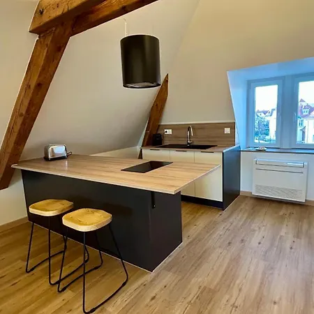 Moderne Et Spacieux, A 10 Min De La Gare * Colmar