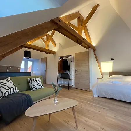 Διαμέρισμα Moderne Et Spacieux, A 10 Min De La Gare Κολμάρ