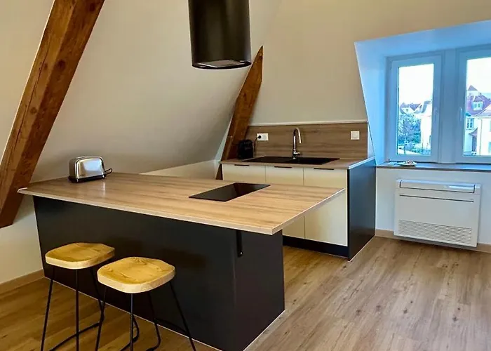 Moderne Et Spacieux, A 10 Min De La Gare * Кольмар